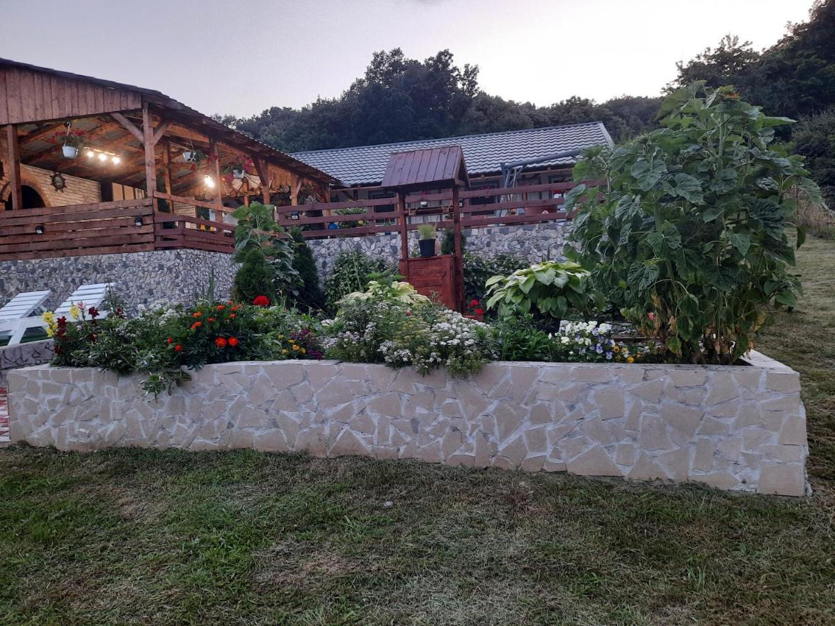 Villa Casa Claudiu Ieşelniţa Exterior foto
